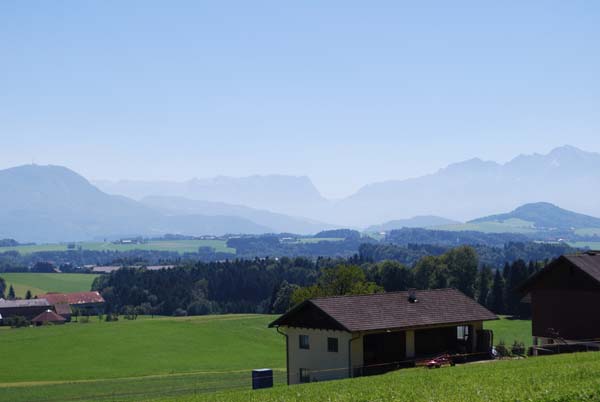 DSC_0181 - Kopie